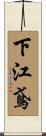 下江鳶 Scroll