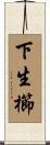 下生櫛 Scroll