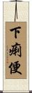下痢便 Scroll