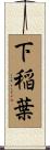 下稲葉 Scroll