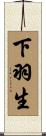 下羽生 Scroll