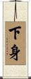 下身 Scroll