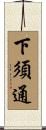 下須通 Scroll