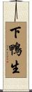 下鴨生 Scroll