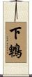 下鵯 Scroll