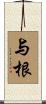 与根 Scroll