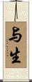与生 Scroll
