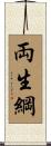 両生綱 Scroll