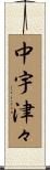 中宇津々 Scroll