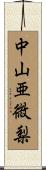 中山亜微梨 Scroll