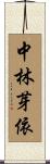 中林芽依 Scroll