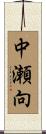中瀬向 Scroll