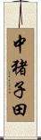 中猪子田 Scroll