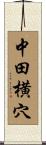 中田横穴 Scroll