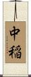 中稲 Scroll