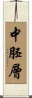 中胚層 Scroll