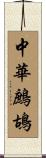 中華鷓鴣 Scroll
