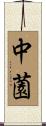 中薗 Scroll