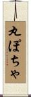 丸ぽちゃ Scroll