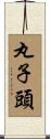 丸子頭 Scroll