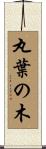 丸葉の木 Scroll