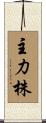 主力株 Scroll