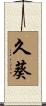 久葵 Scroll