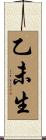 乙未生 Scroll