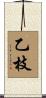 乙枝 Scroll