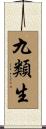 九類生 Scroll