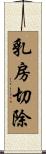 乳房切除 Scroll