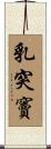 乳突竇 Scroll