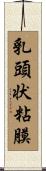 乳頭状粘膜 Scroll