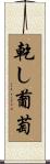 乾し葡萄 Scroll