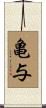 亀与 Scroll
