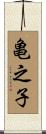 亀之子 Scroll