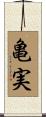 亀実 Scroll