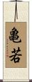 亀若 Scroll