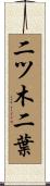 二ツ木二葉 Scroll