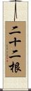 二十二根 Scroll