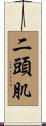 二頭肌 Scroll