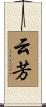 云芳 Scroll