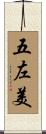 五左美 Scroll