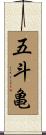 五斗亀 Scroll