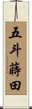 五斗蒔田 Scroll