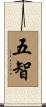 五智 Scroll