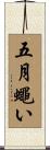 五月蠅い Scroll
