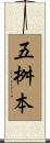五桝本 Scroll