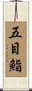 五目鮨 Scroll