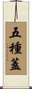 五種蓋 Scroll